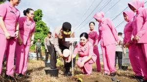 Polda Sulbar Terus Galakkan Gerakan Penanaman Pohon, Kali ini di Sekitar Kantor PJR