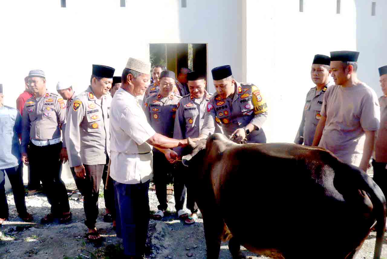 Polres Donggala Berbagi Berkah Idul Adha dengan Kurban 5 Sapi dan 2 Kambing | NEWS TV Indonesia