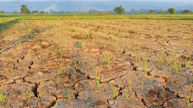 Presiden Joko Widodo ‘Warning’ Ancaman Krisis Iklim | NEWS TV Indonesia