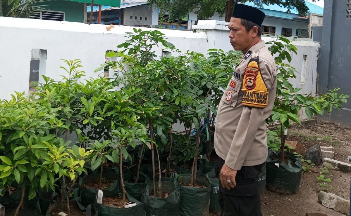 Pekarangan Jadi Sumber Gizi, Satbinmas Polres Pelabuhan Makassar Monitoring Pembibitan Cabai | NEWS TV Indonesia
