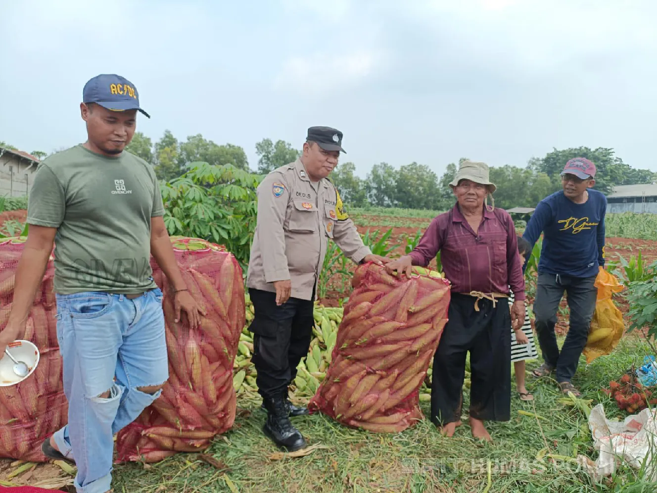 Bhabinkamtibmas Polsek Bungursari Polres Purwakarta Melakukan Monitoring Ketahanan Pangan untuk Tingkatkan Kesiapsiagaan | NEWS TV Indonesia