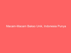 Macam-Macam Bakso Unik, Indonesia Punya