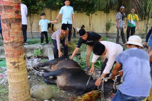 Rayakan Idul Adha 1446 H, Polres Tebing Tinggi Sembelih Hewan Kurban | NEWS TV Indonesia