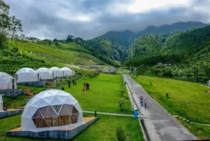 Glamping Batu: Liburan Nyaman di Tengah Alam Dingin Kota Apel