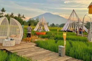 Kampung Sabin Cirebon: Suasana Ala Bali di Tengah Sawah yang Bikin Betah
