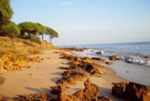 5 Pantai di Tuban yang Lagi Hits dan Wajib Dikunjungi