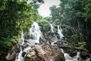 10 Rekomendasi Wisata Pringsewu Lampung yang Lagi Hits