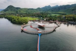 15 Wisata Situbondo Paling Menarik dan Indah untuk Liburan