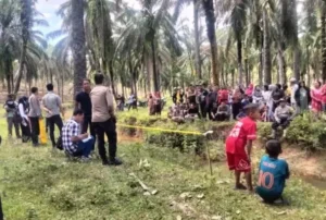 Kasus Penemuan Mayat Bayi di Langkat, Polisi Amankan Seorang Perempuan