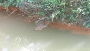 Warga Geger Temukan Mayat Bayi Laki-laki di Sungai Desa Gergas Langkat