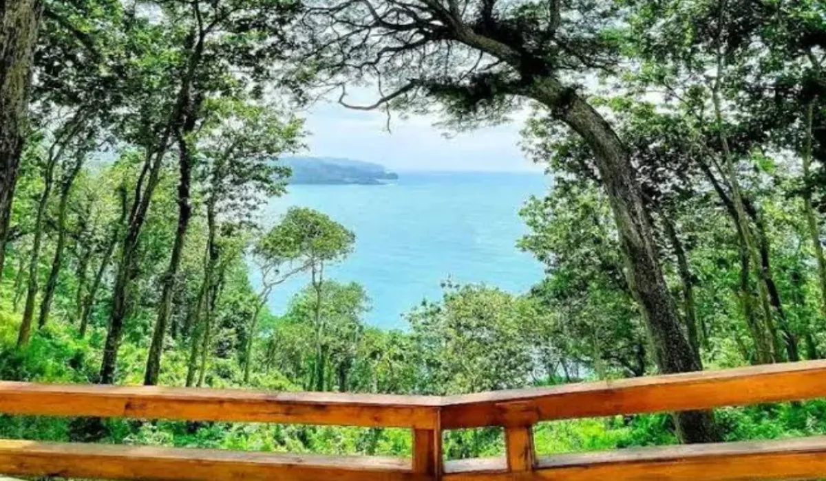 Terima Kunjungan Wamenlu, Wamen Ossy Bicarakan Hak Atas Tanah bagi WNA dan Diaspora | NEWS TV Indonesia