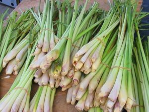 10 Manfaat Serai untuk Kesehatan: Herbal Alami dengan Segudang Khasiat