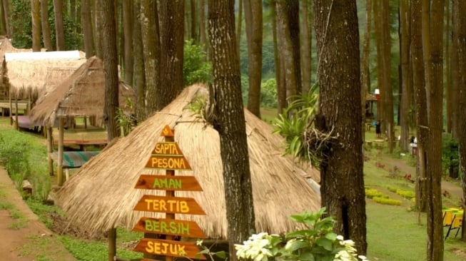 Hutan pinus nongko ijo madiun Madiun