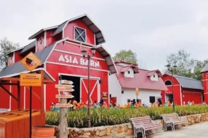 Asia Farm: Lokasi, Harga Tiket & Wahana Seru 2026