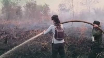 Kasus ISPA di Riau Tembus 11.370, Asap Karhutla Jadi Perhatian