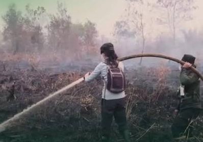 Kasus ISPA di Riau Tembus 11.370, Asap Karhutla Jadi Perhatian