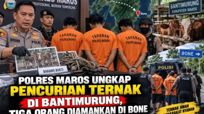 Polres Maros Ungkap Pencurian Ternak di Bantimurung, Tiga Orang Diamankan di Bone